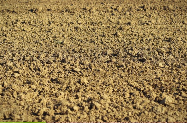 Comment aplanir un terrain bosselé