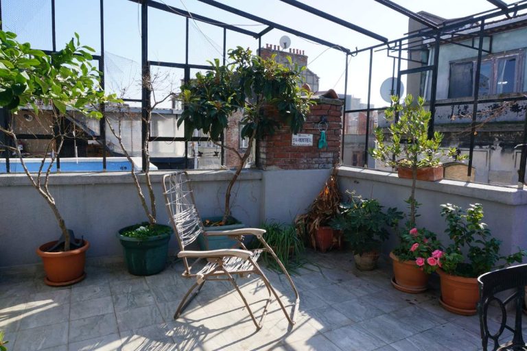 que mettre dans des grands pots sur une terrasse