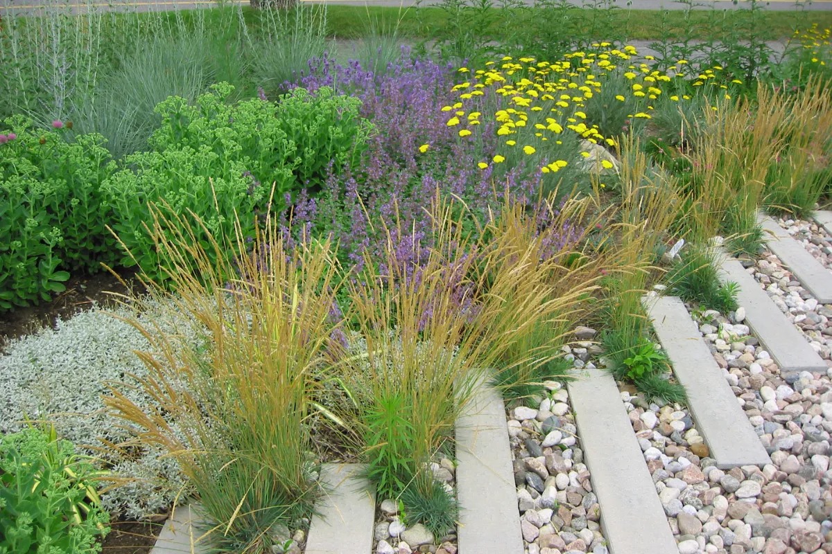 remplacer-gazon-par-gravier-une-bonne-idee