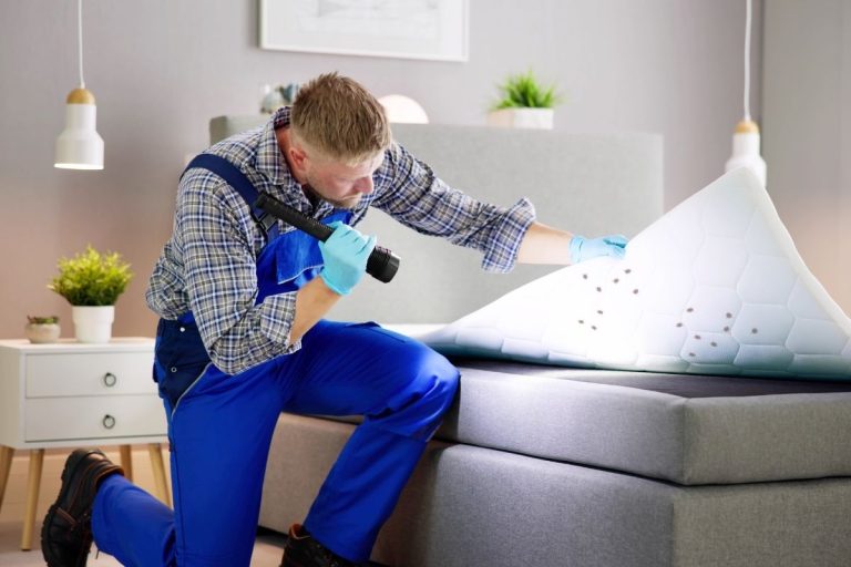 Quelles sont les étapes à suivre pour se débarrasser des punaises de lit