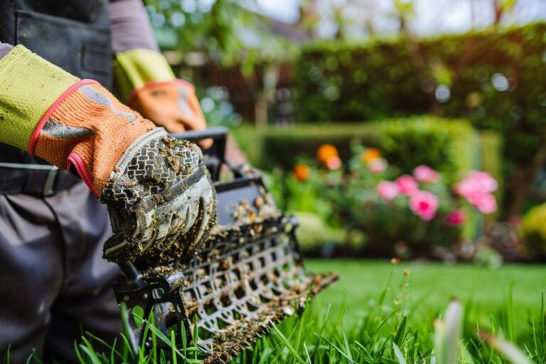 Pourquoi et comment scarifier une pelouse facilement ?