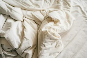 Punaise de lit détectée : les réflexes à adopter avant que l’infestation ne s’installe